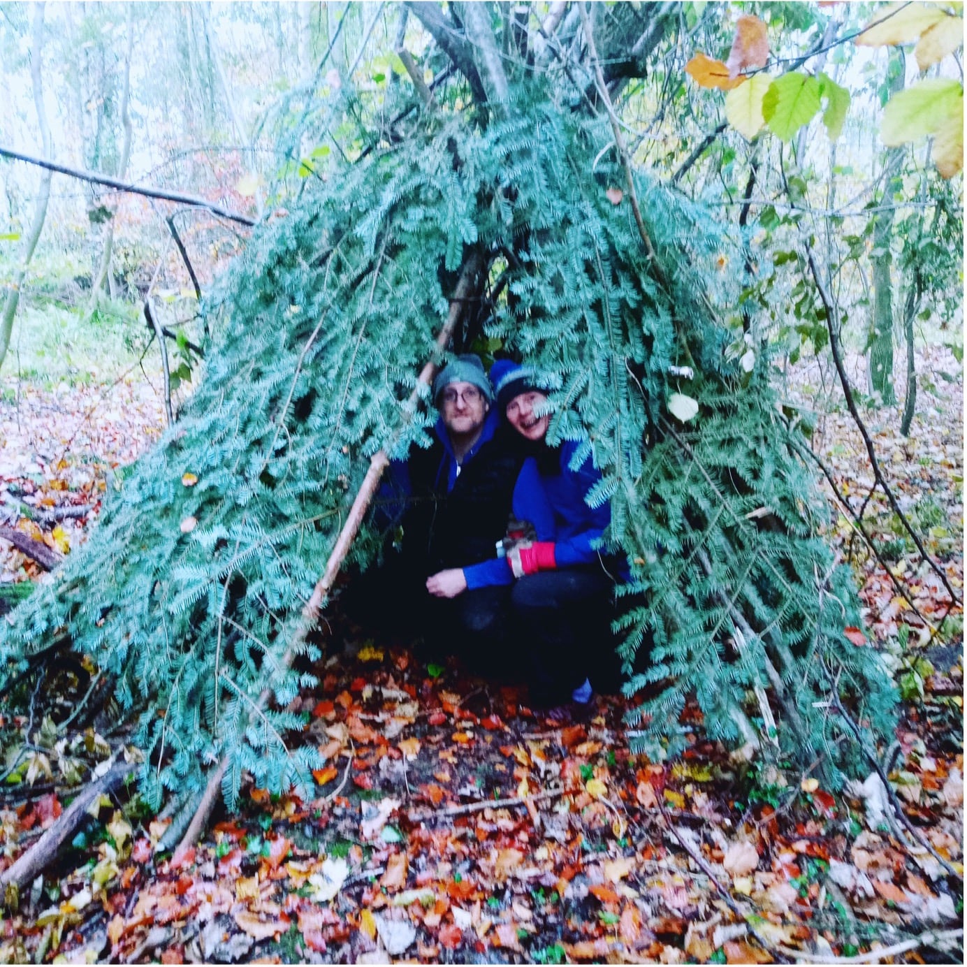 shelter